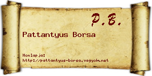Pattantyus Borsa névjegykártya